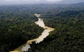 Los reportes sobre la deforestación de la Amazonía han sido favorables este año al registrarse el mejor mes de abril desde 2019.
