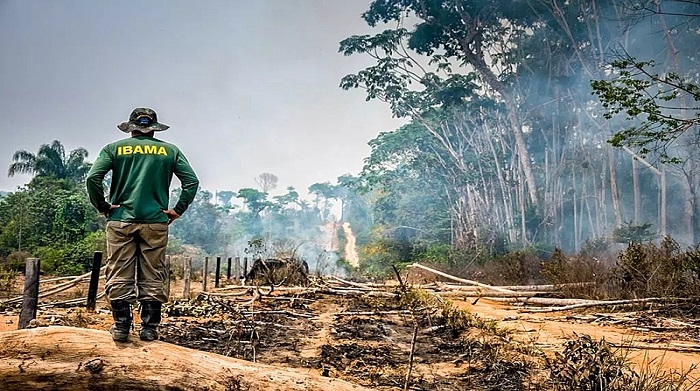 La Amazonía brasileña perdió en los seis primeros meses de 2022 alrededor de 3.988 kilómetros.