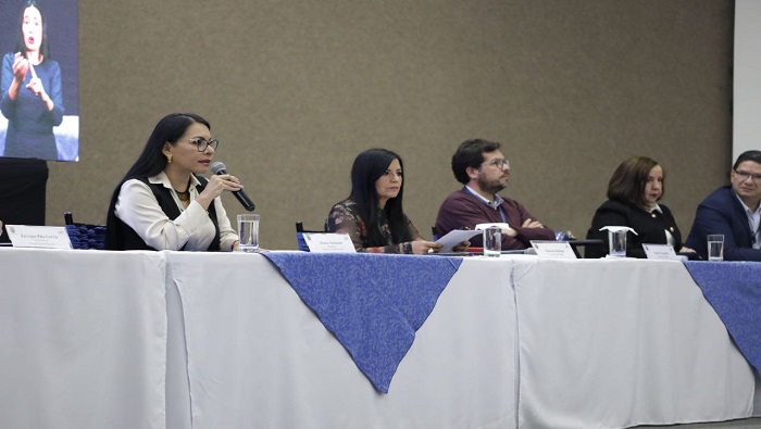 Patricia Hidalgo, vocera del Comité, informó que los temas fueron establecidos a partir de varios mecanismos de consulta.