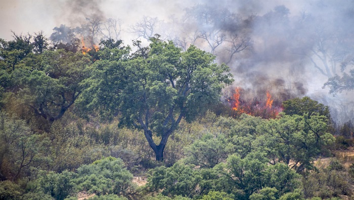 El incendio forestal que alcanza el nivel uno de peligrosidad apunta a una progresión favorable.