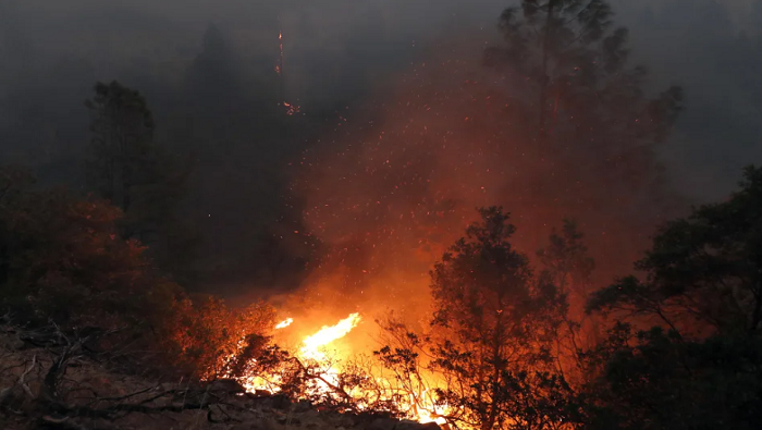 Actualmente, el país registra 1.052 incendios forestales activos de los que 668 están fuera de control.