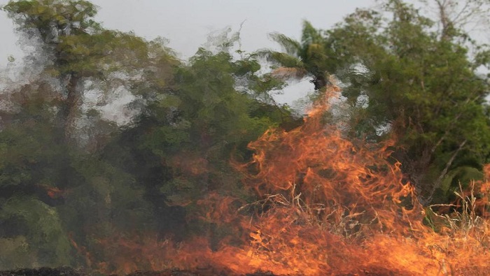 El coordinador del Centro de Operaciones de Emergencia Nacional del Instituto Nacional de Defensa Civil, Ricardo Pajares del Carpio, detalló que el incendio forestal ya está controlado. 