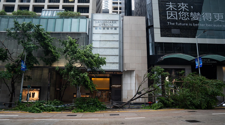 El tifón Saola a su paso este sábado por el sur de China dejó múltiples daños y árboles caídos en Hong Kong. 