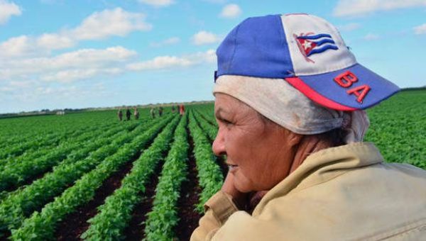 Las mujeres cubanas participan en todos los ámbitos: político, económico y social, en una coyuntura en que tienen dos y tres empleos -reconocido como pluriempleo- sin embargo, asumen estos retos profesionales, sin obtener el apoyo familiar para ello.
