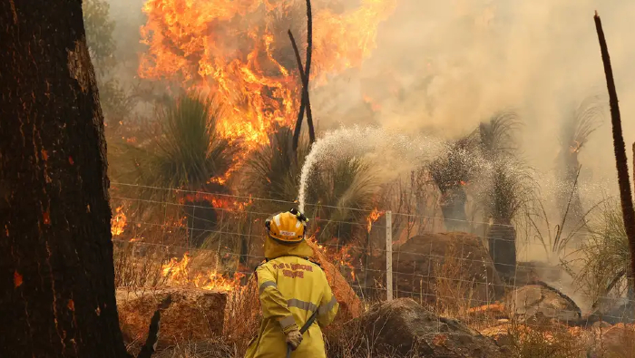 La región de Nueva Gales del Sur fue escenario de los incendios del llamado 