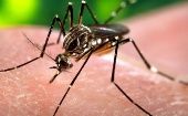 Guatemala registra además 37 casos de la enfermedad de chikungunya y 23 de zika.