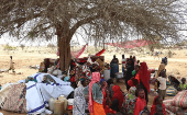 Alrededor de 5.3 millones de personas han sido desplazadas dentro de Sudán.