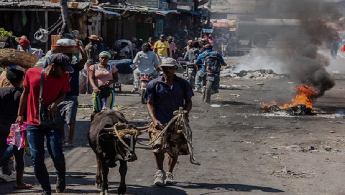 Casi la mitad de la población haitiana, alrededor de 5.2 millones de personas, necesitan asistencia humanitaria.