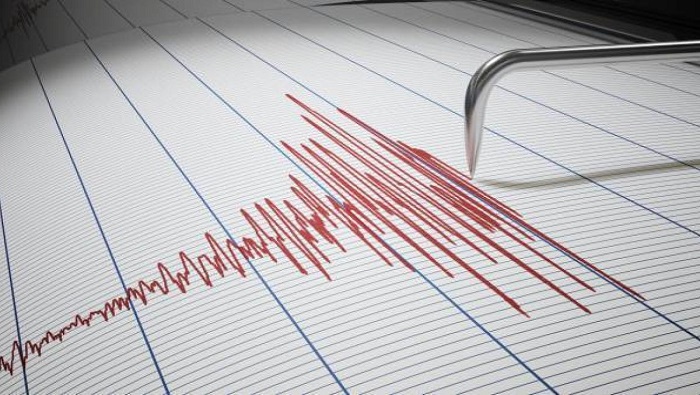 En la ciudad de Almatý, Kazajistán, se reportaron sismos de magnitud entre 4 y 5, mientras que en la capital de Uzbekistán, Tashkent, informaron que fueron percibidos de magnitud 3.