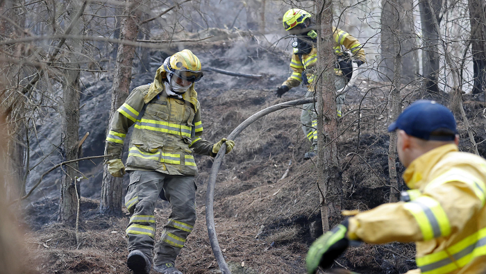 El Ungrd detalló que en enero se han reportado 278 incendios, de los cuales 20 continúan activos, 12 ya han sido controlados y 245 han sido extinguidos.