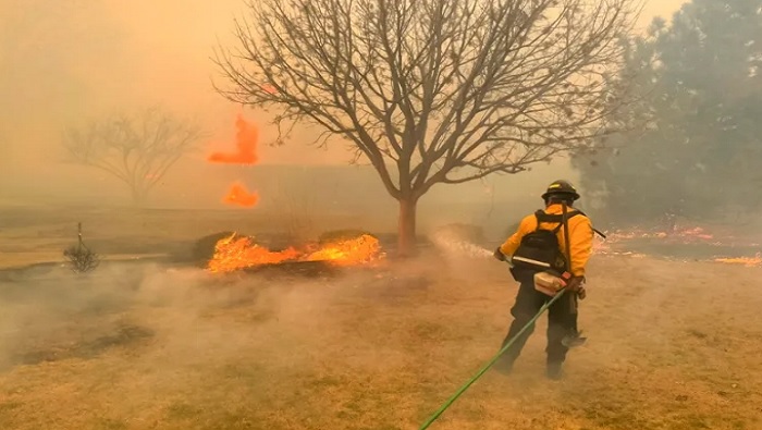 El Servicio Forestal de Texas anunció que un 15 por ciento del fuego está contenido, y luchan para extinguir todos los focos activos.