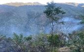Costa Rica implementó el martes la campaña Yo Protejo los Bosques para prevenir y denunciar los incendios forestales. 