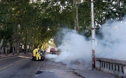 El país reporta un total de 804 casos de dengue, cifra que no solo supone un récord para el año, sino que por primera vez Uruguay.