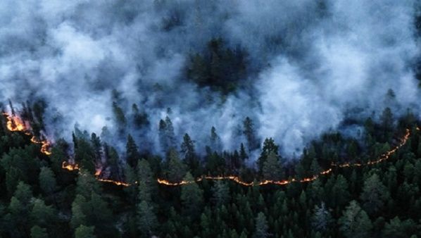 incendio forestal siberia julio 2019