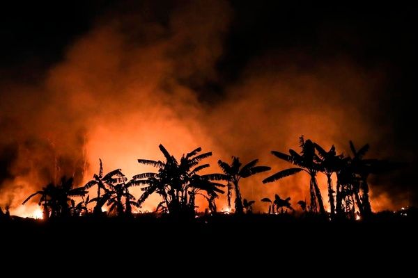 Los incendios forestales de Brasil ya han ocasionado más daños que los registrados en todo el 2019. Fuente: EFE