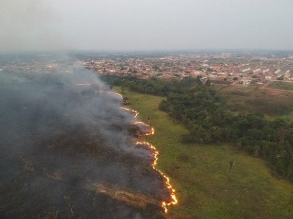 Más de 760.000 hectáreas del Pantanal han sido consumidas por las llamas. Fuente: EFE